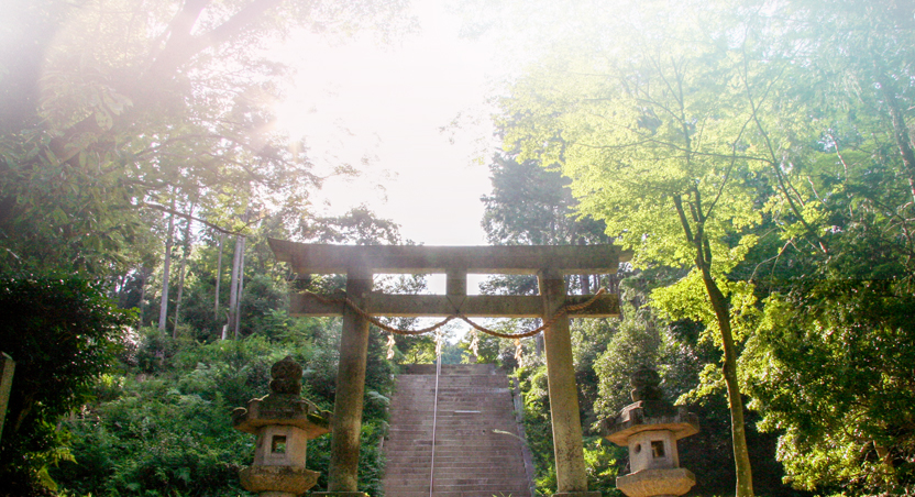 神社の写真